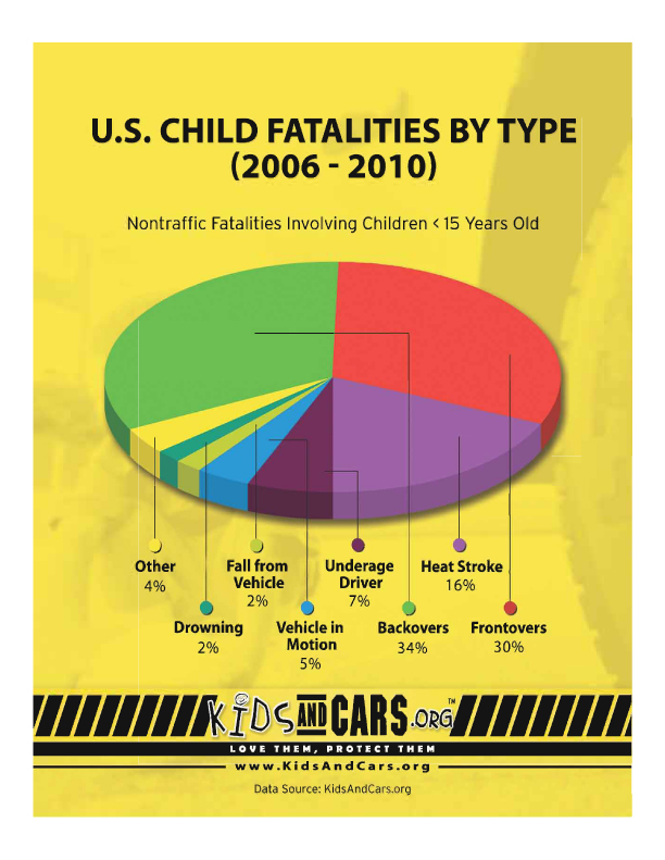 fatalities-pie-chart